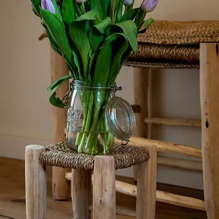 Appartement Les Nids Perchés - Rue Sainte Croix