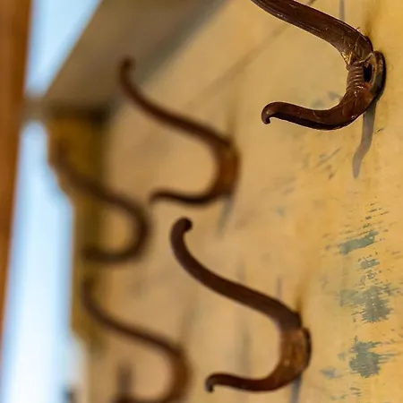 Les Nids Perches - Rue Sainte Croix