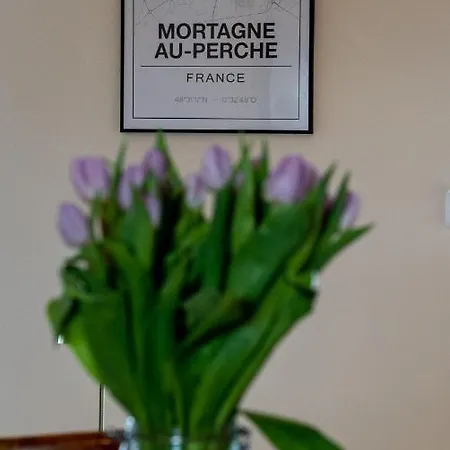 Les Nids Perchés - Rue Sainte Croix Appartement