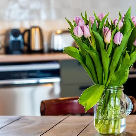 Les Nids Perches - Rue Sainte Croix Mortagne-au-Perche