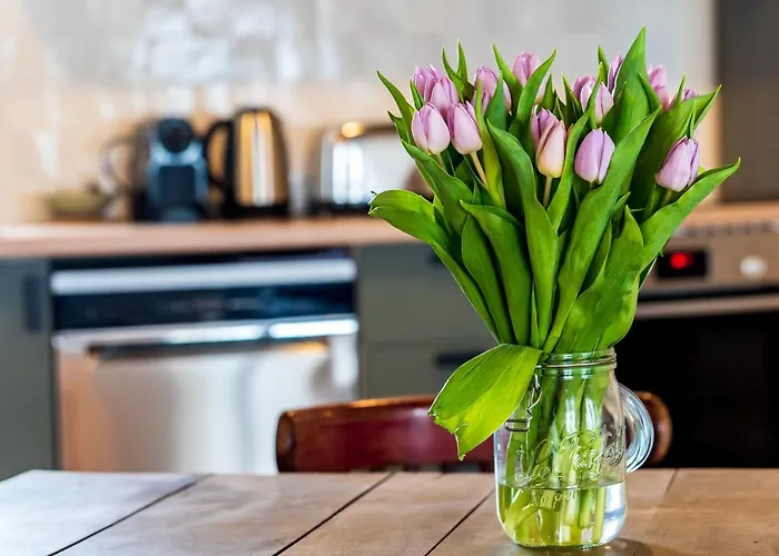 Les Nids Perches - Rue Sainte Croix Mortagne-au-Perche